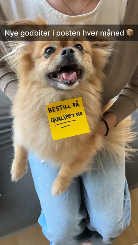 Annonse for QualiPet